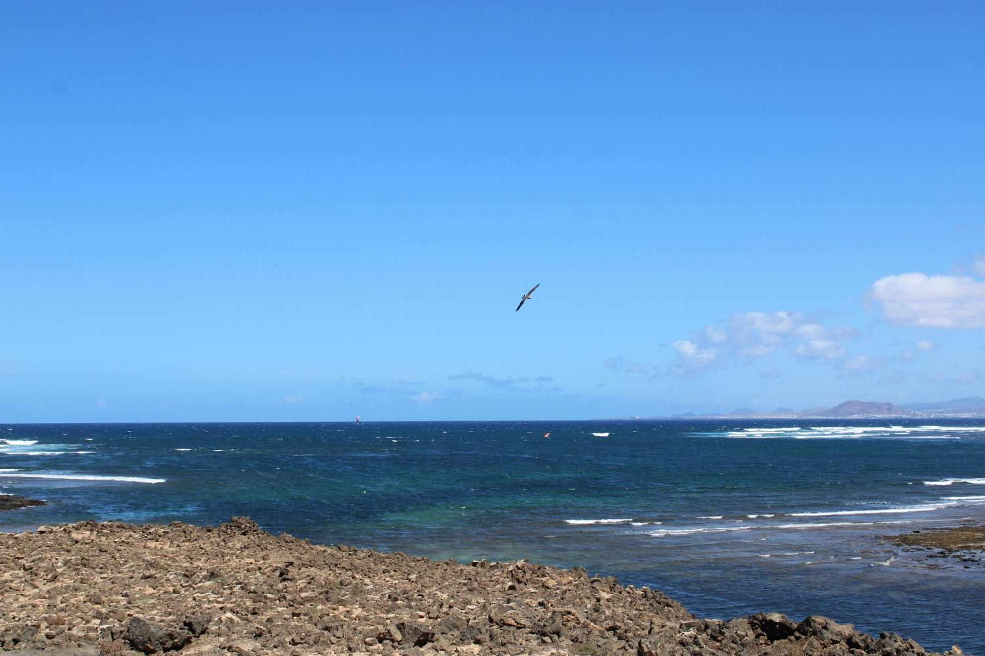 La Maresia By Sea You There Fuerteventura Majanicho Extérieur photo